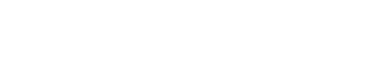 Logo Nexialistas